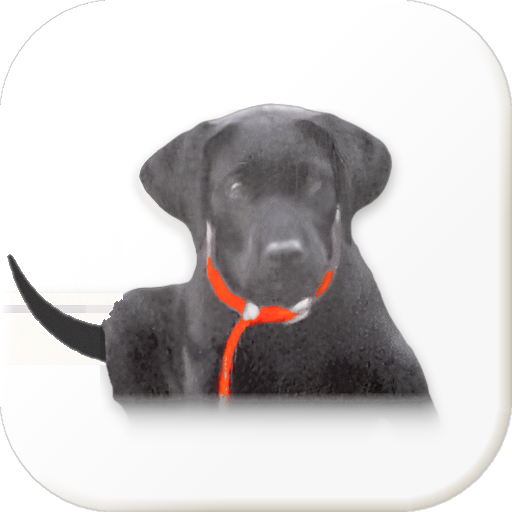 bronnie.ai puppy mark